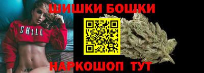 индика Сланцы