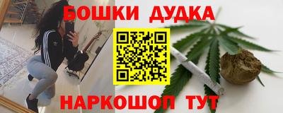индика Сланцы