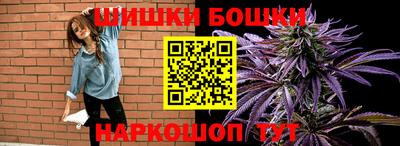 индика Сланцы