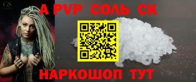 индика Сланцы