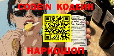 индика Сланцы