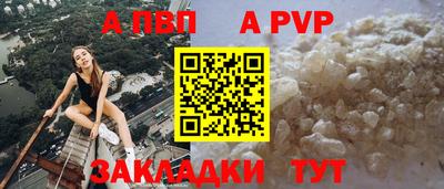 индика Сланцы