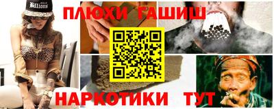 индика Сланцы