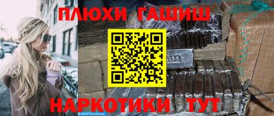 индика Сланцы